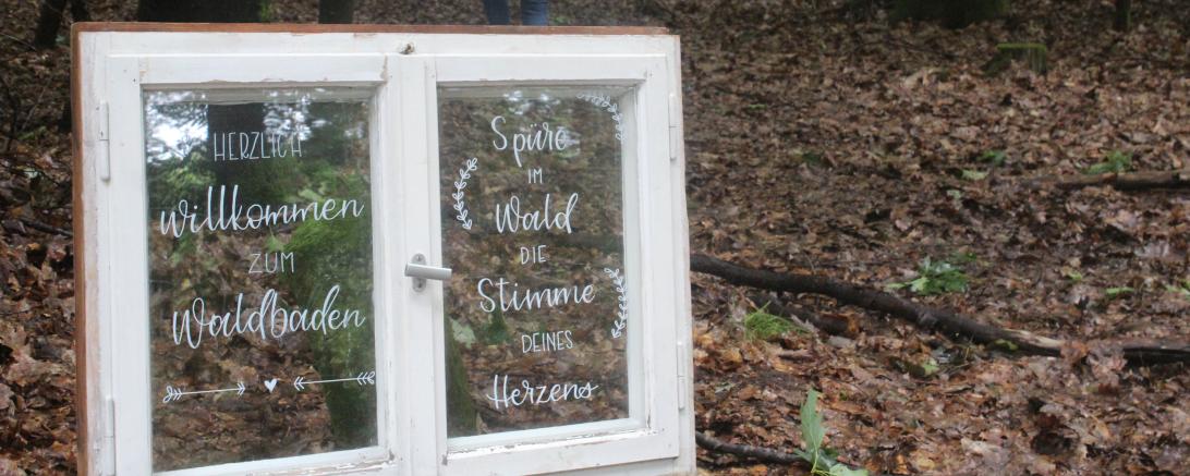 Auf dem Bild zu sehen einen idyllischen Blick in den Wald.