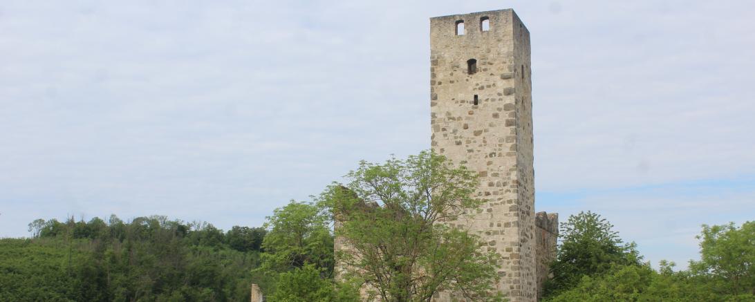 Burgruine Niederhaus im Ederheimer Ortsteil Hürnheim. 