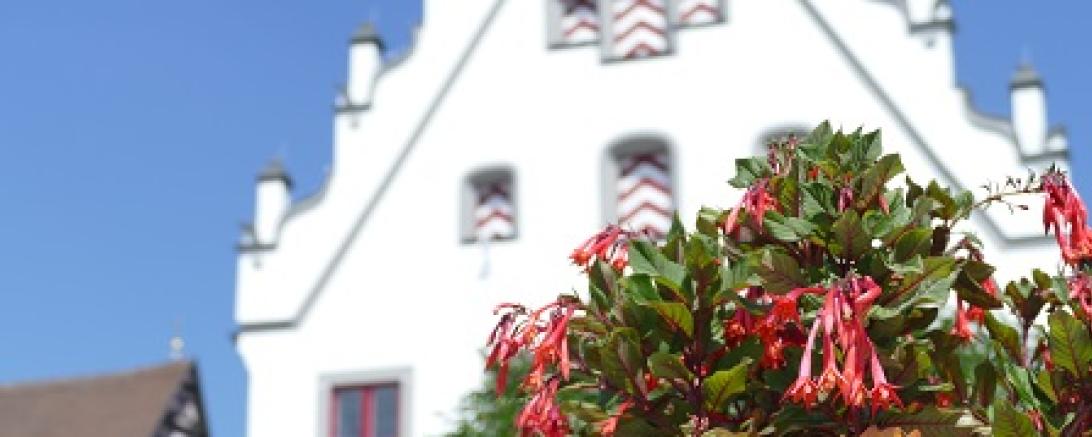 Rathaus Marktplatz Stadt Wemding