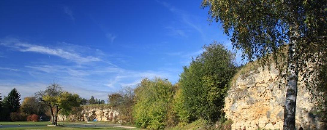 Dem Meteoriten auf der Spur- PKW Exkursion