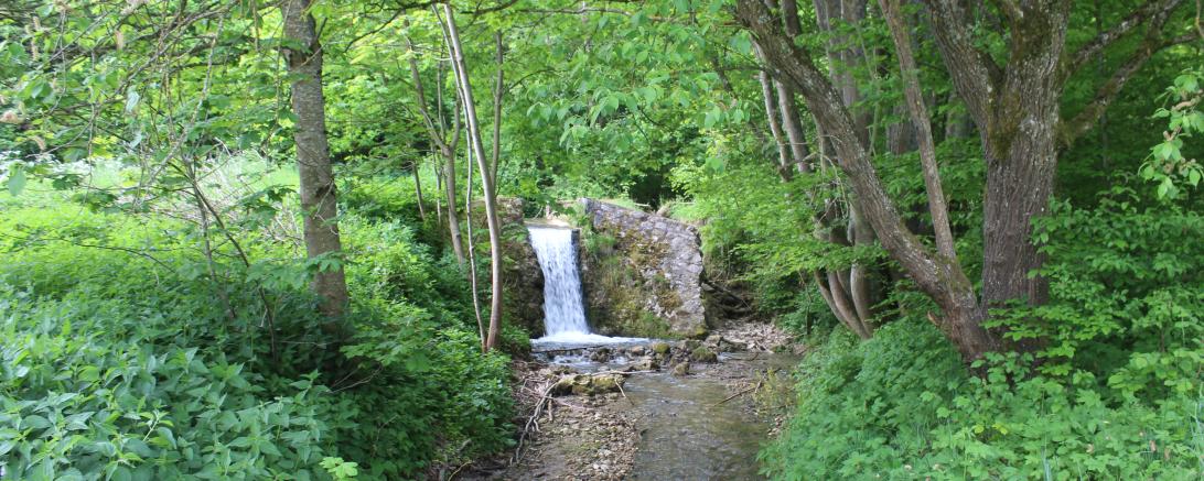 Wasserfall an der Hoppelmühle 
