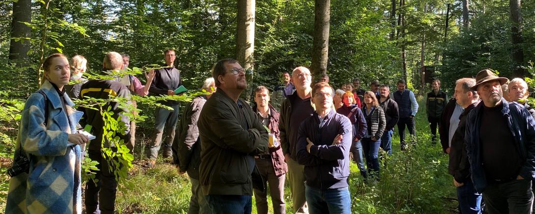 Das Bild zeigt die Mitglieder des Stadtrates und Forstfachleute beim Waldbegang.