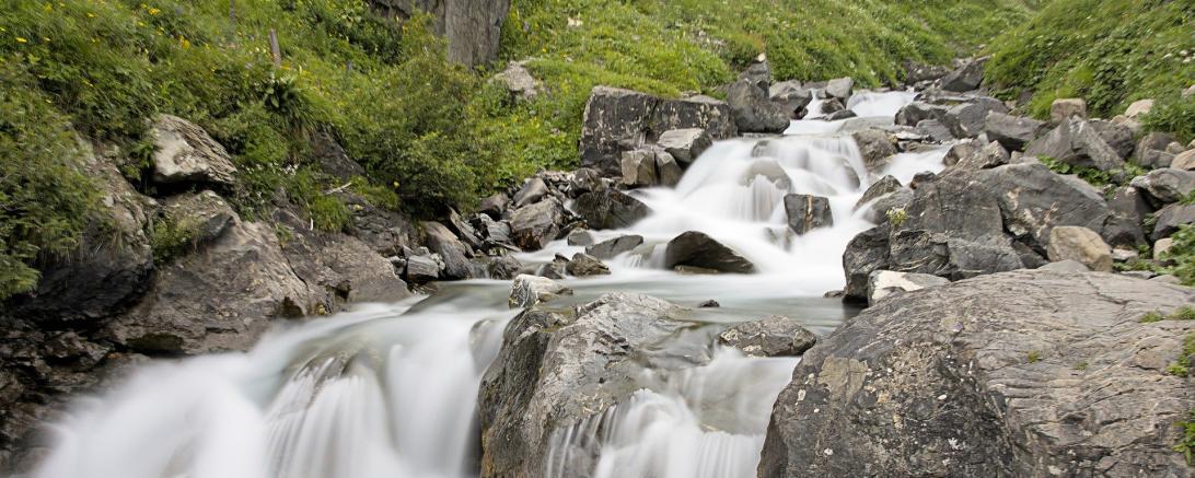 Auf dem Bild zu sehen ein Bach.