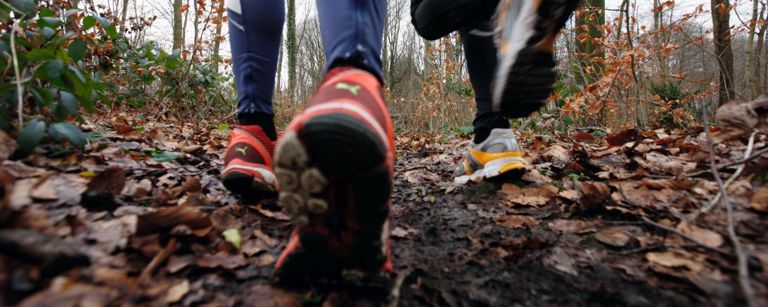 Auf dem Bild zu sehen zwei Personen beim Joggen.