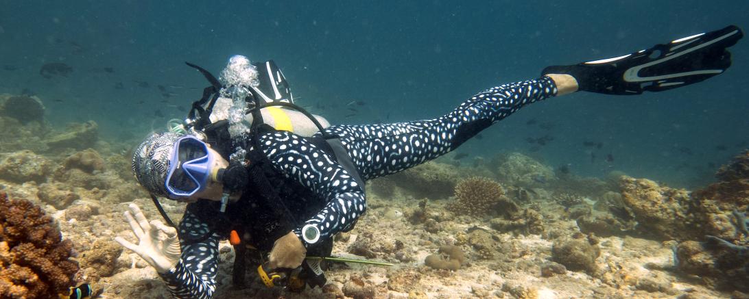Auf dem Bild sieht man Jutta bäcker beim tauchen.