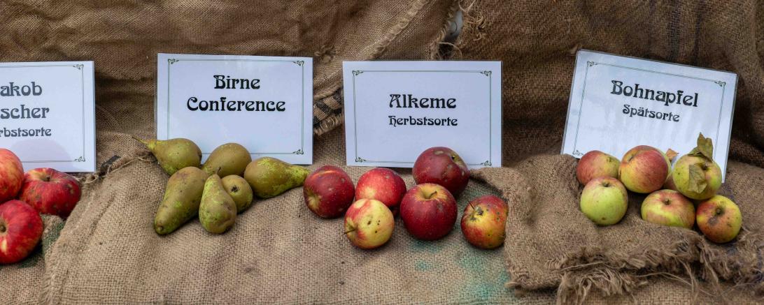 Herbstlich dekorierte Stände.