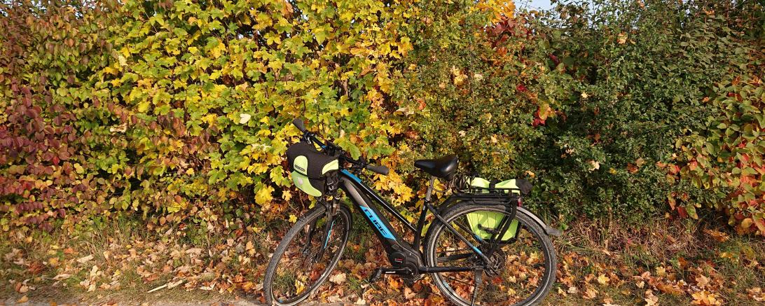 Auf dem Bild sieht man ein Fahrrad mit einem schönen Herbstlichen Hintergrund.