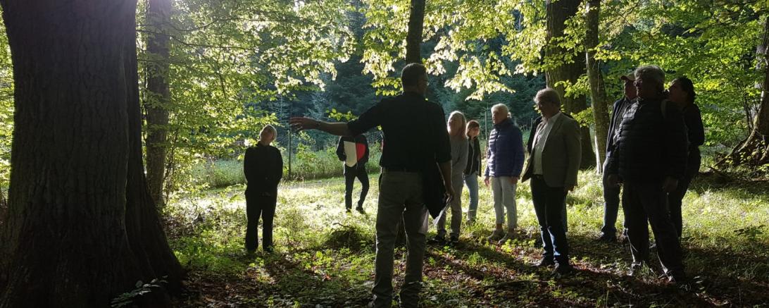 Der SPD-Ortsverein Eichen im Stadtwald Donauwörth