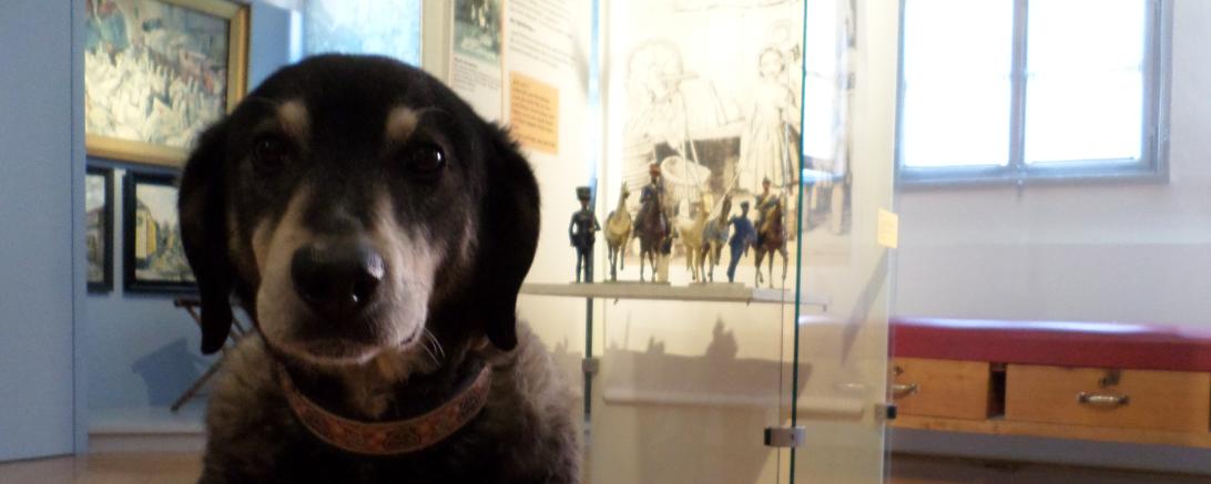 Hund im Museum