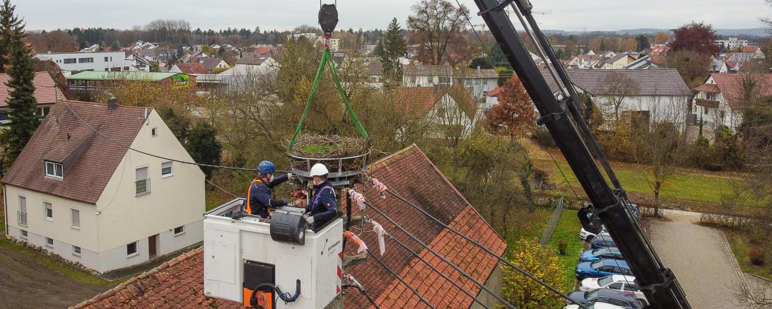Montage eines Metallkorbs für Störche über den Dächern von Rain am Lech.