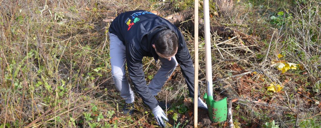 Für die Baumpflanzaktion wurde im Vorfeld ein kleiner Teilbereich des Waldes vorbereitet. Dort wurden die Setzlinge - wie hier von Michael Feil - eingepflanzt. 