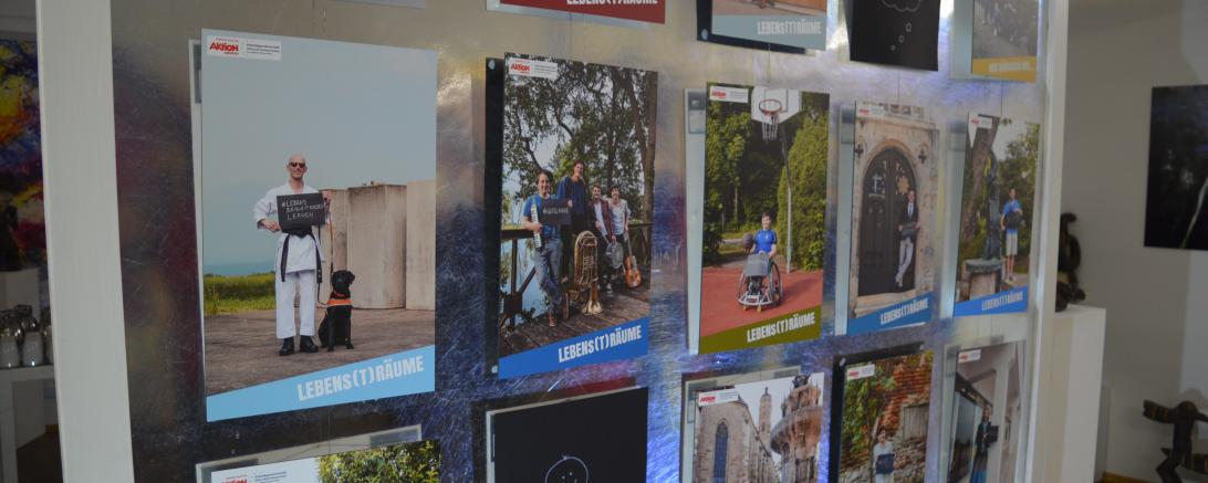 Ein Ausschnitt aus den verschiedenen Fotos, die durch das Projekt entstanden sind. 