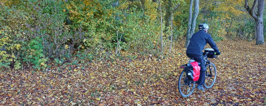 Radfahren fährt im Herbst, Blätter auf dem Weg