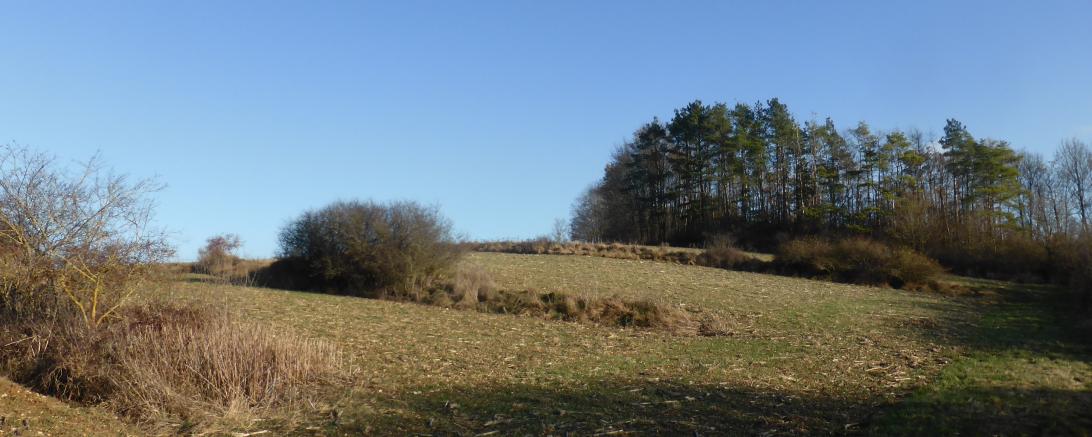 Ein im Erkundungsverfahren als technisch geeigneter Standort ausgewählt: Der alte Steinbruch, dem Mehlberg vorgelagert.