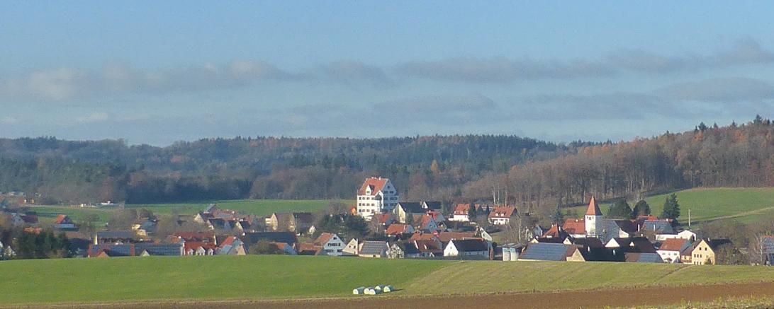 Blick vom geplanten Mobilfunk-Standort auf das Nordrieser Dorf Dornstadt.