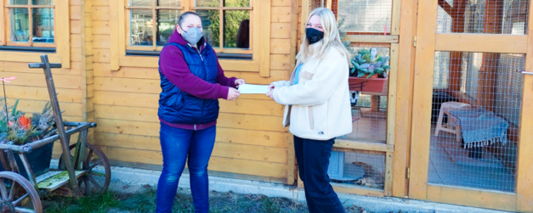 Spende Tierheim Hamlar