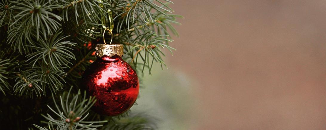 Symbolbild Weihnachtsbaum