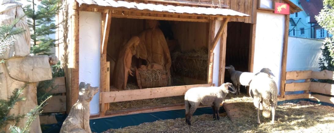 Die Grünbergkrippe wird jedes Jahr am Liebfrauenmünster in Donauwörth aufgebaut. 