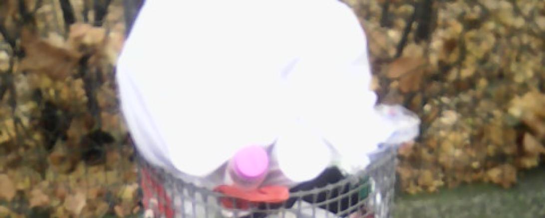 Aktuell werden vermehrt illegale Müllablagerungen im Stadtgebiet festgestellt. 