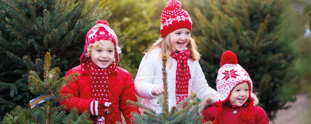 Die Firma bauroom GmbH & Co. KG aus Tapfheim hat vor Weihnachten einen Weihnachtsbaumverkauf zu Gunsten des Ahrtals veranstaltet.