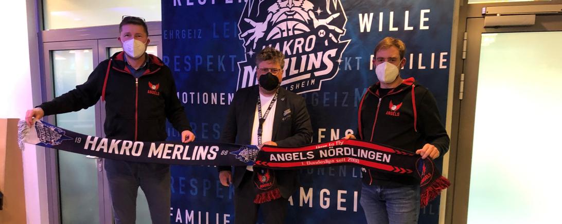 Eigner Angels und Hakro Merlins