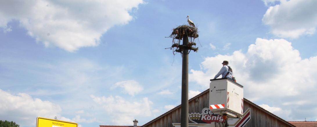 Das Bild zeigt den Hubsteiger der N-ERGIE Netz GmbH im Einsatz für Oettinger Störche.