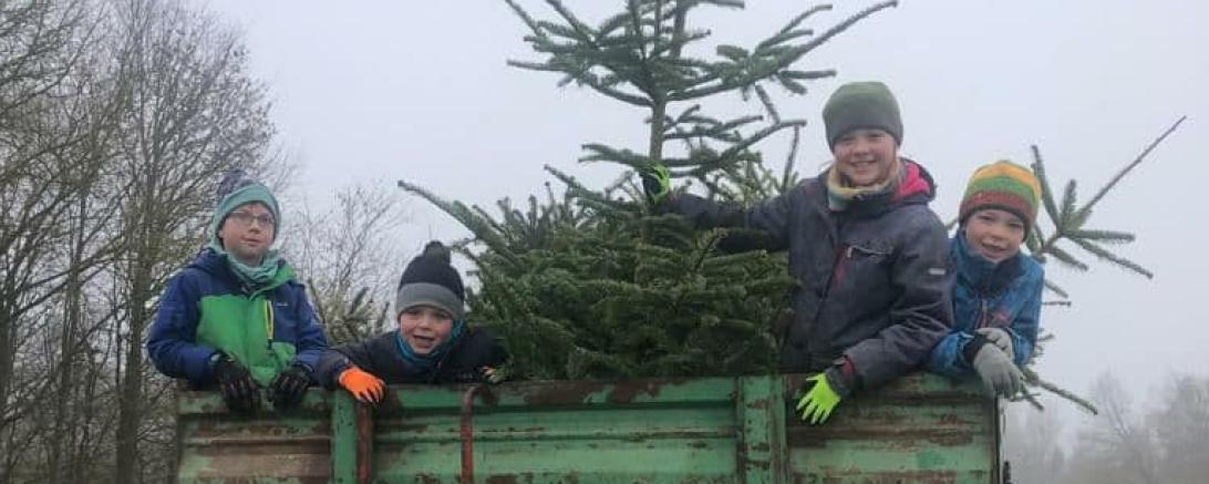 Das Bild zeigt die Christbaumsammelaktion für den Kaisheimer Kindergarten