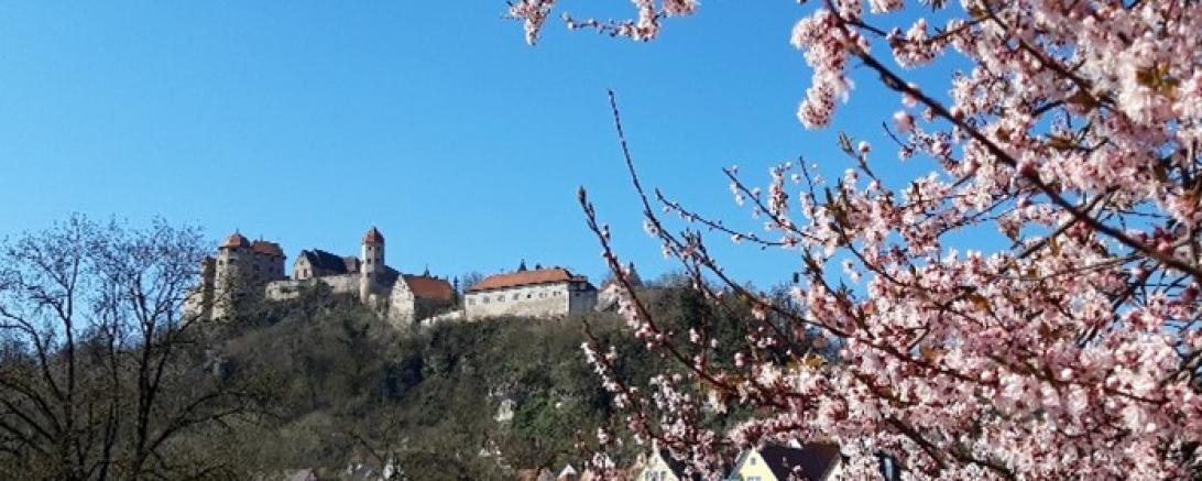 Das Bild zeigt Schloss Harburg