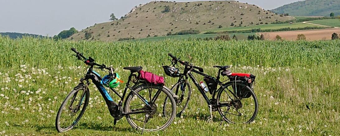 Das Bild zeigt Fahrräder.