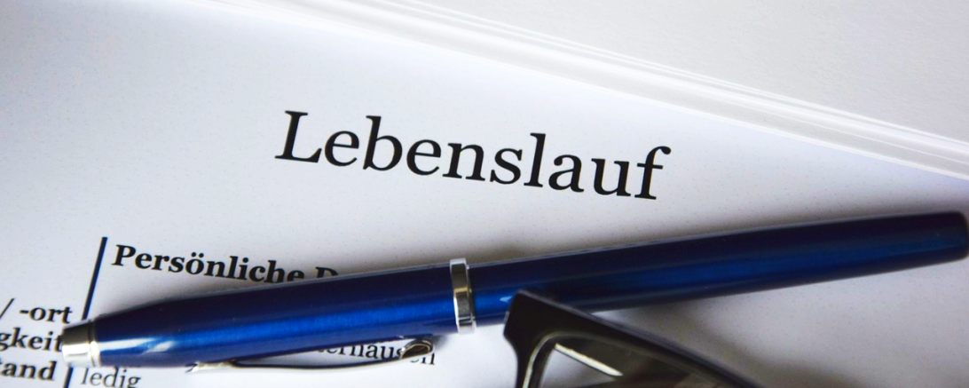 Das Bild zeigt einen Lebenslauf.