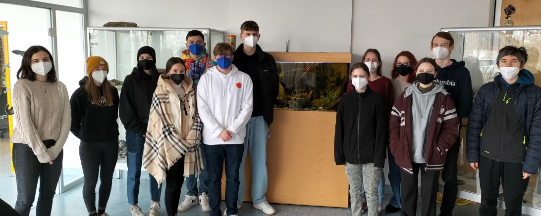 Die Schüler*innen des P-Seminars "Schulaquarium". 
