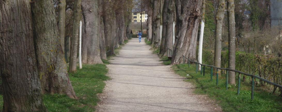Zu sehen ist der Bäumlesgraben in Nördlingen.