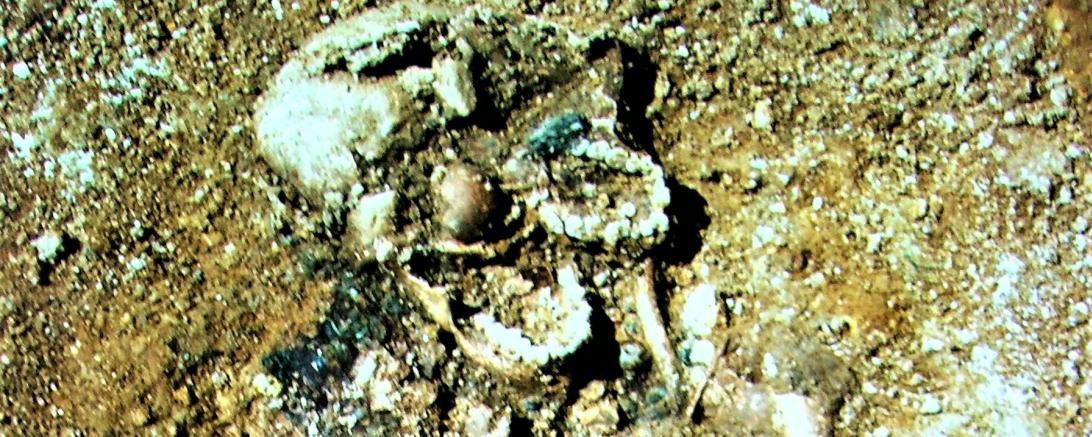 Zu sehen ist ein offenes Grab mit einem Skelett. 