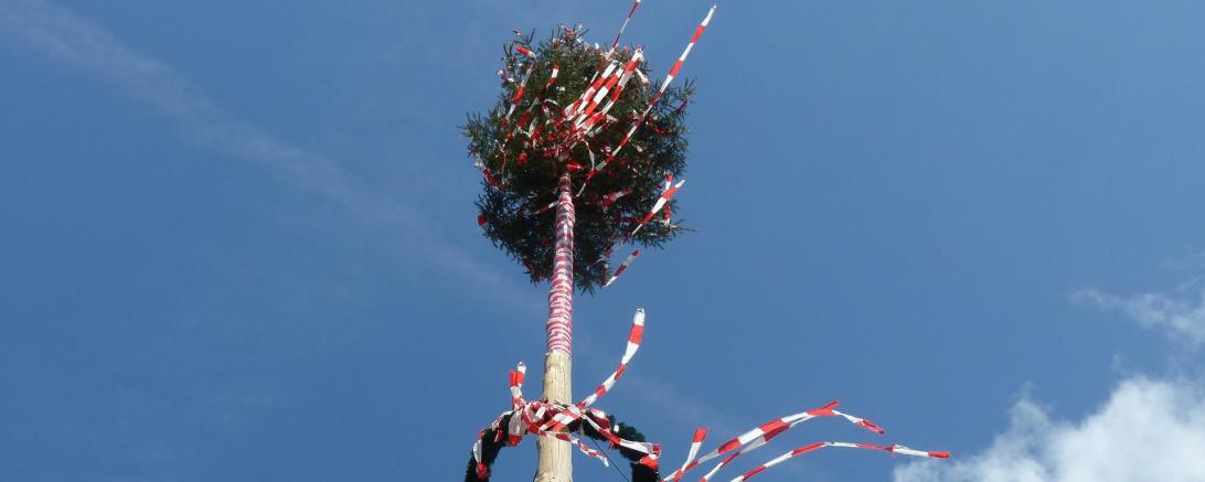 Maibaum