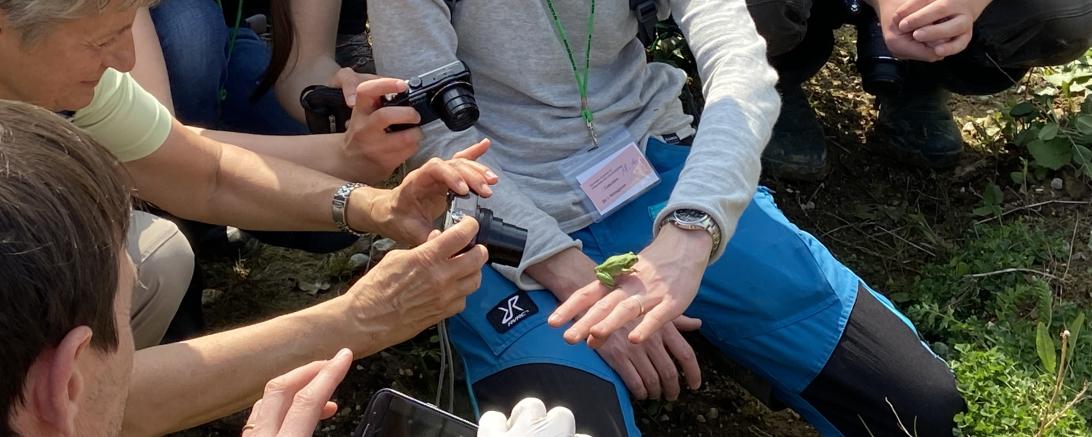 Zu sehen ist ANL-Kursleiter Felix Vogt-Pokrant mit Laubfrosch.