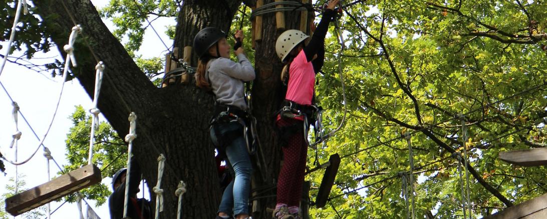 Zu sehen sind zwei Kinder mit Schutzausrüstung auf einem Baum in einem Kletterwald. 