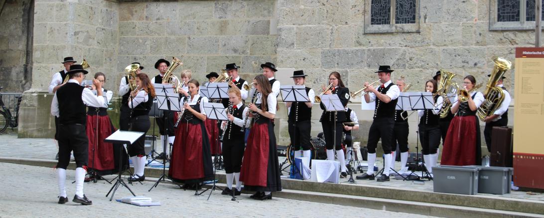 Das Bild zeigt den Musikverein Mönchsdeggingen.