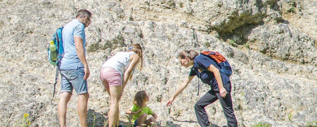 Das Bild zeigt eine Wanderung durch den Geopark Ries.