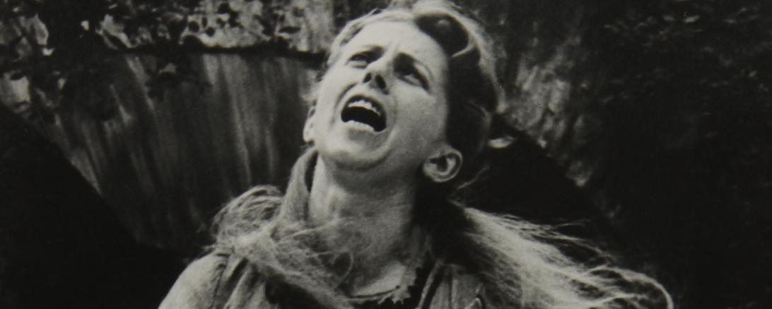 Hexenverfolgung in Nördlingen