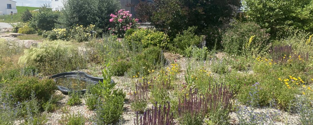 Staudenbeet Blossenau