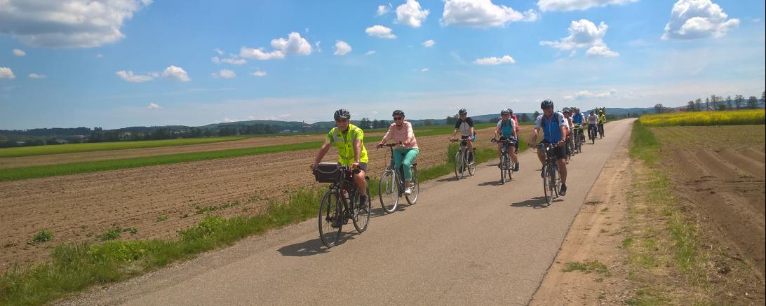 Zu sehen sind einige Fahrradfahrer auf einer Landstraße. 
