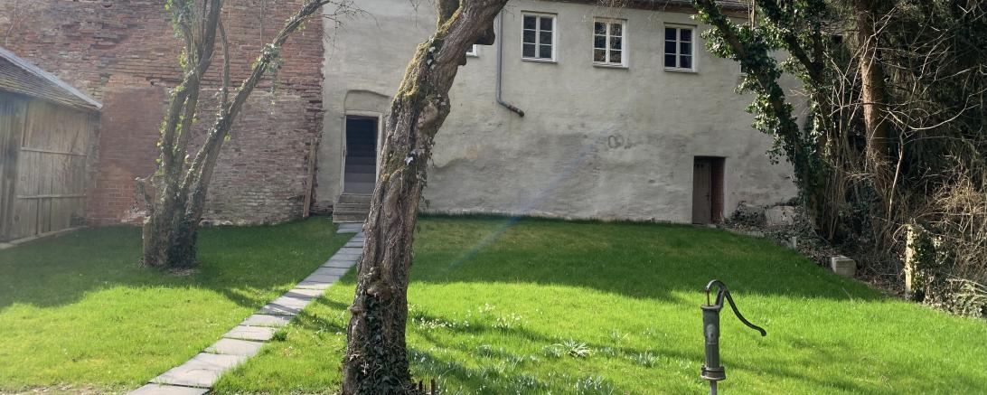 Am 25. und 26. Juni finden die CID Gesundheits- und Bewegungstage statt- mit neuen Projektleitern, neuem Konzept und neuer Location. 