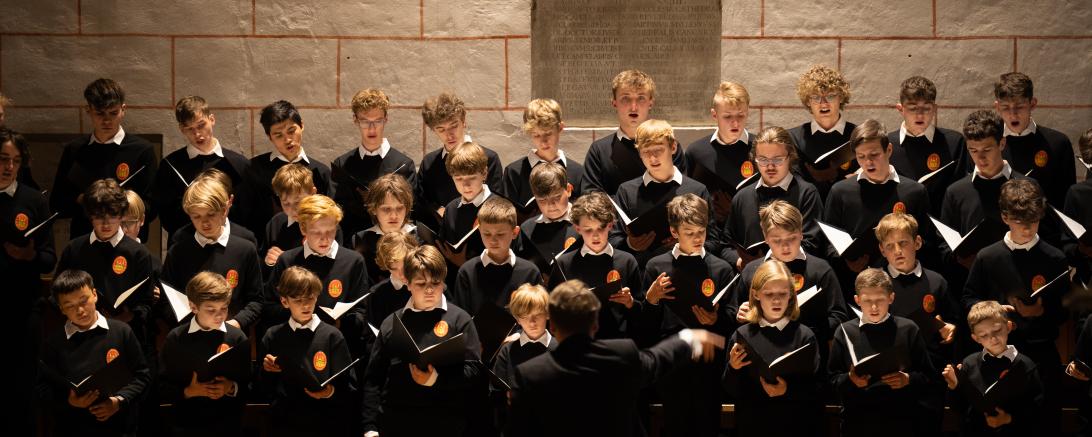 Das Bild zeigt die Augsburger Domsingknaben.