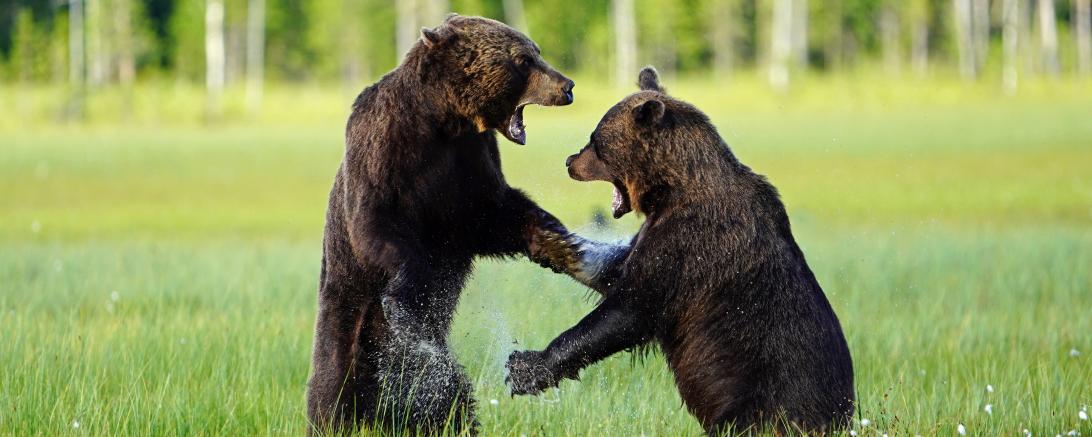 Fotowettbewerb Oettingen 