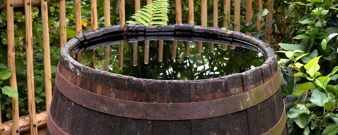 Das Bild zeigt ein Regenfass.