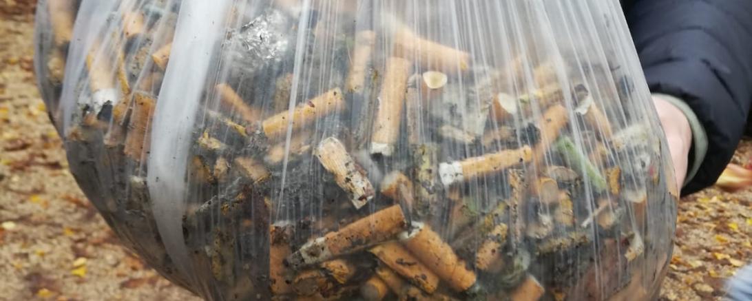 Das Bild zeigt einen Beutel voll mit Zigarettenstummeln.