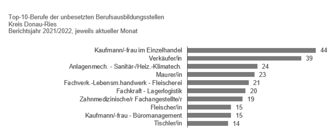 Grafik zu den Top 10 unbesetzten Berufsausbildungsstellen im Donau-Ries.