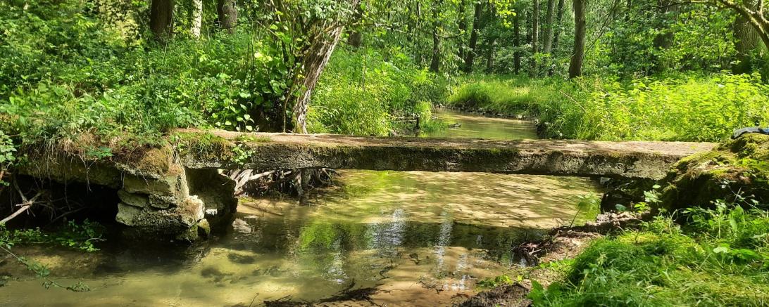 Historischer Bettelsteg im Schwalbtal