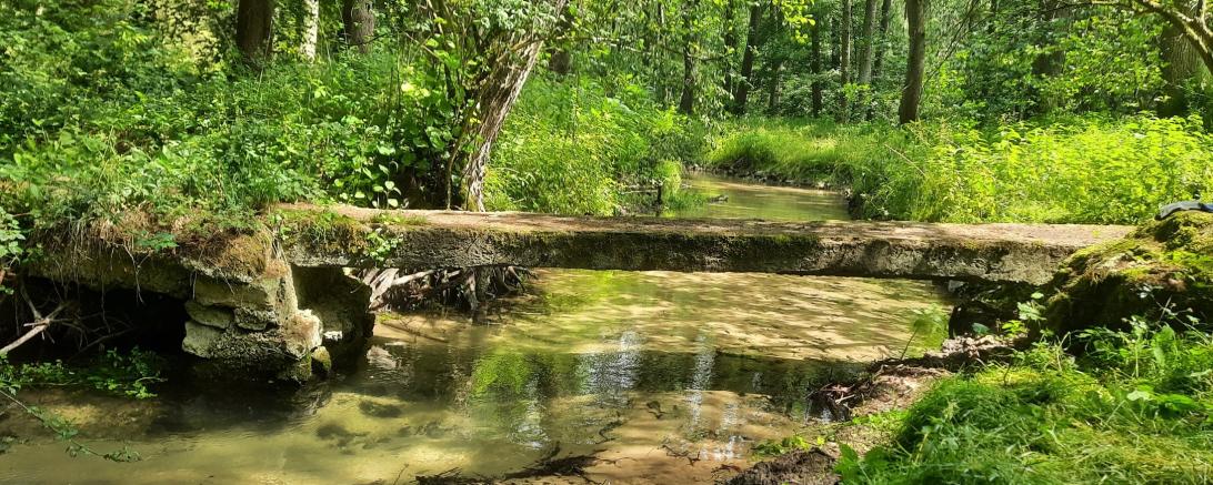 Historischer Bettelsteg im Schwalbtal.