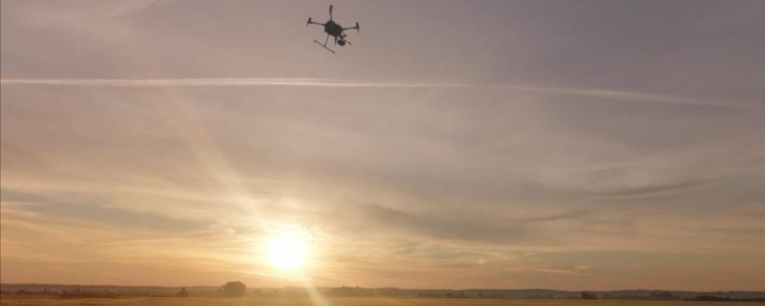 Drohnenflug in den Pfäfflinger Wiesen